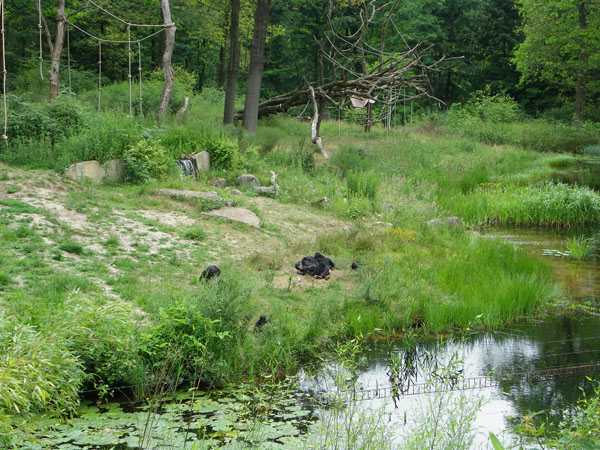 Apenheul Primate Park