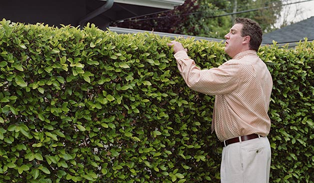 problematic neighbors