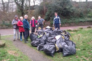 litter-pick
