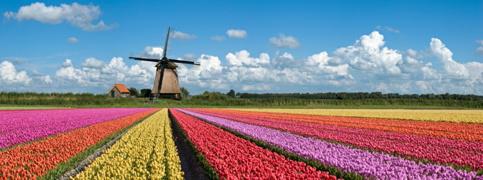 Netherlands_higher_ed